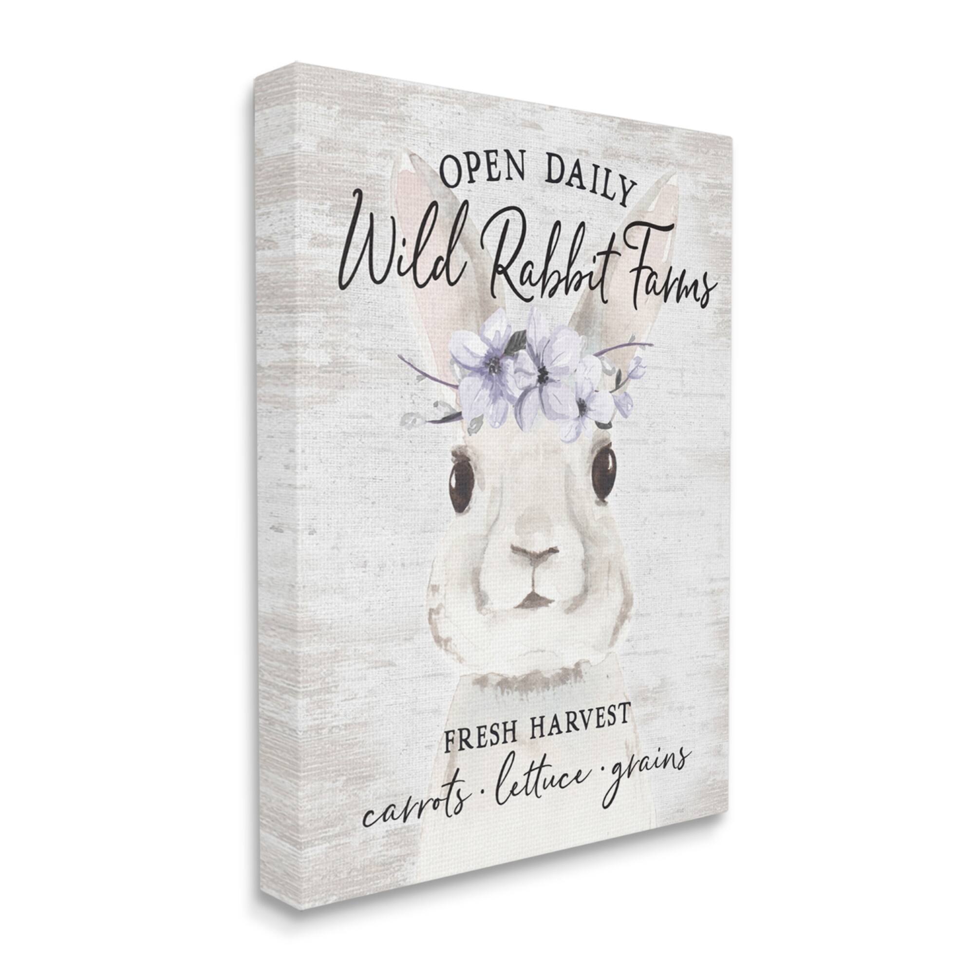 Stupell Industries Wild Rabbit Farms Weathered Floral Crown Sign Canvas Wall Art